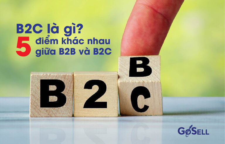 B2C là gì? 5 điểm khác nhau giữa B2B và B2C