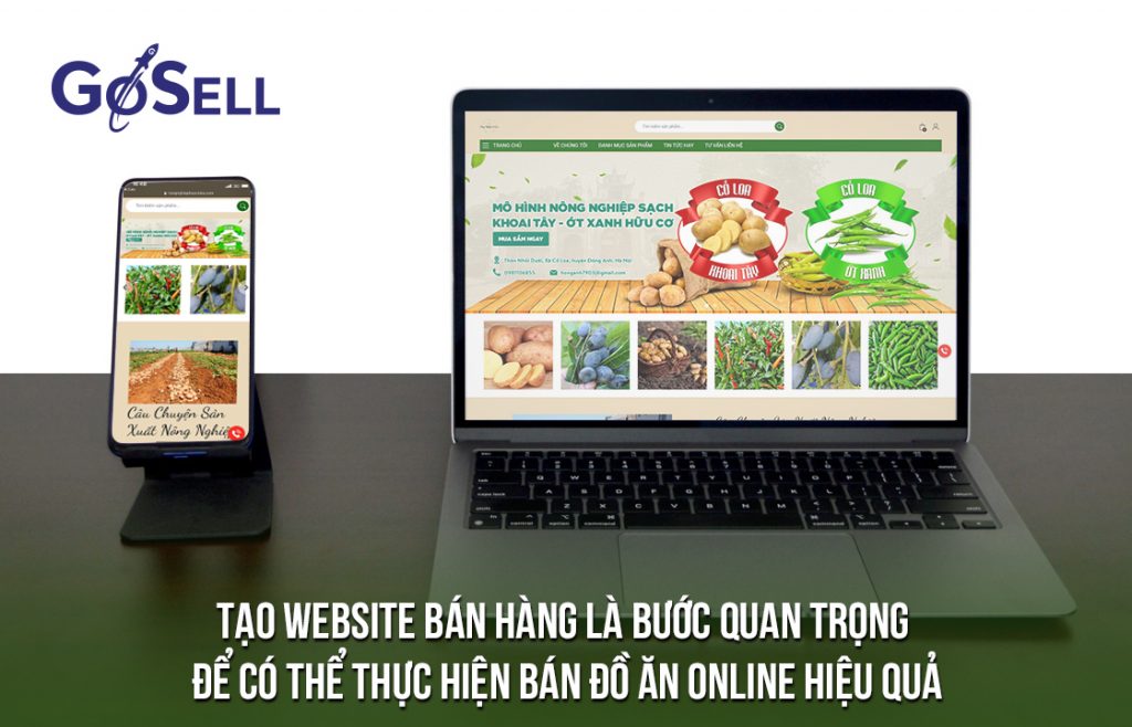 Tạo website bán hàng là bước quan trọng để có thể thực hiện bán đồ ăn online hiệu quả 